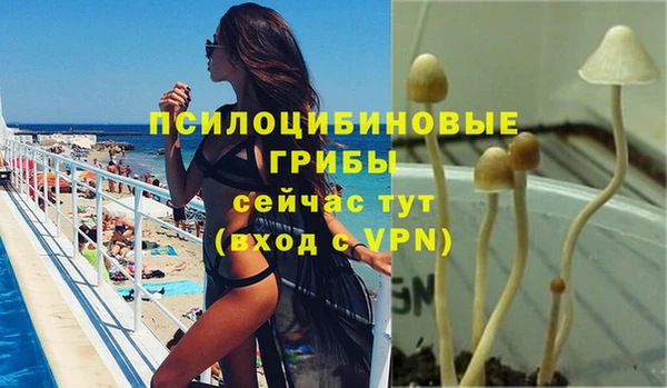 spice Аркадак