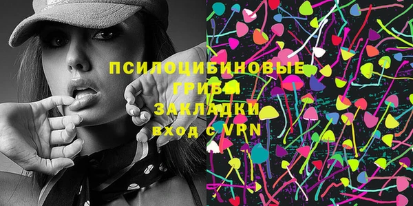 трава Арсеньев